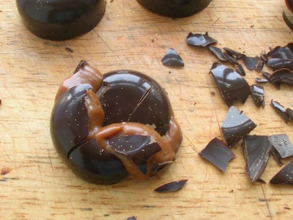 Passionfruit and rosemary caramel chocolates