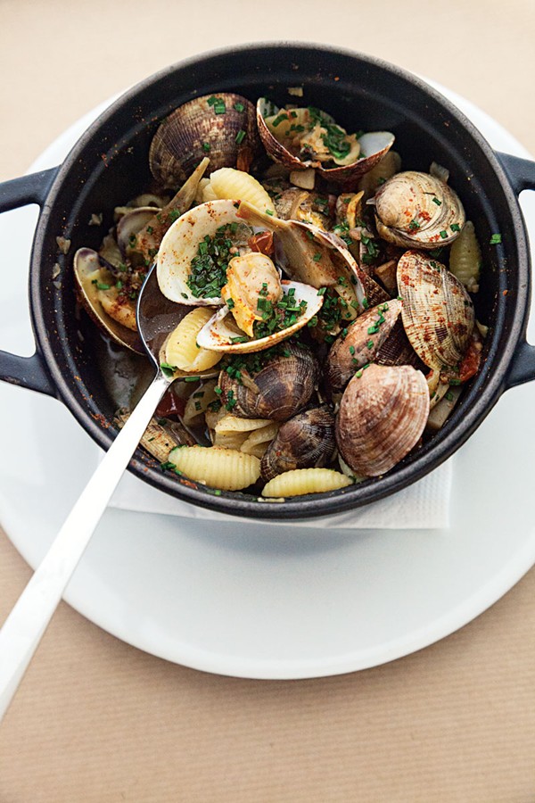 Pasta shells with artichoke clam sauce
