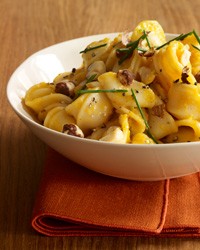 Pasta with creamy pumpkin sauce and toasted hazelnuts