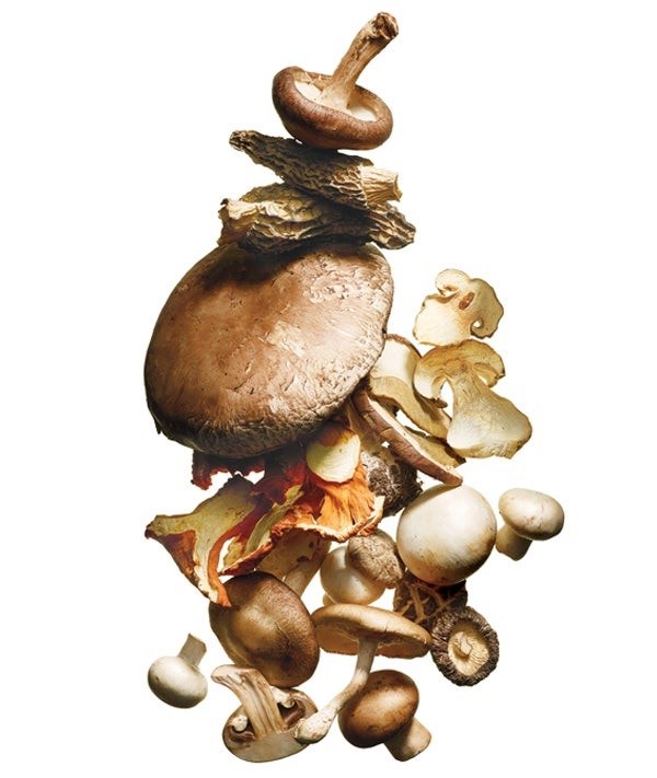 Pasta with funghi trifolati