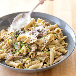 Pasta with mushroom sauce