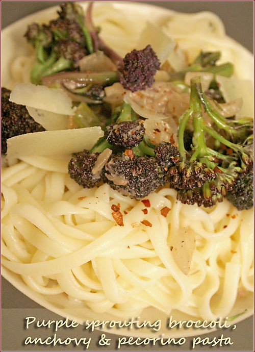 Pasta with purple sprouting broccoli, anchovies and pecorino