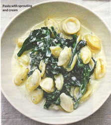 Pasta with sprouting broccoli and cream
