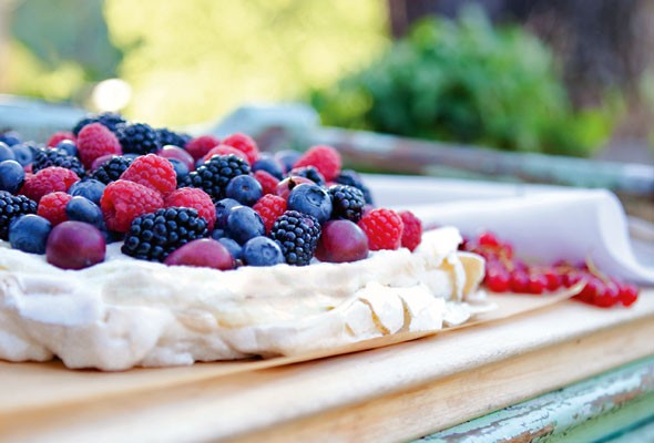 Pavlova