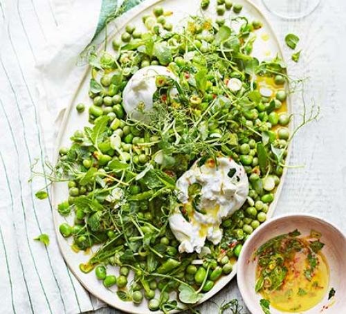 Pea & burrata salad with preserved lemon salsa
