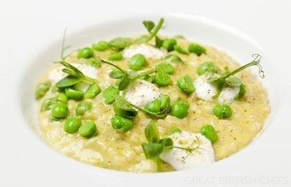 Pea risotto and cottage cheese