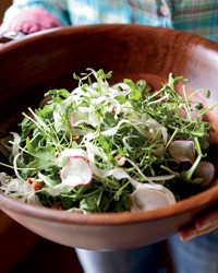 Pea shoot and arugula salad with radishes and hazelnuts