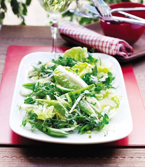 Pea shoot and sprout salad