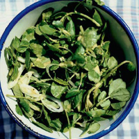 Pea shoot and watercress salad