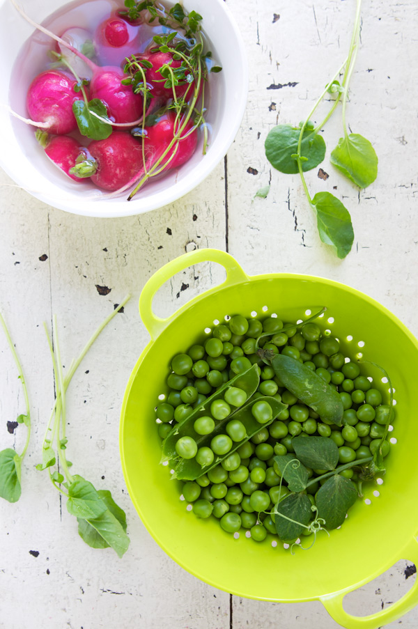 Pea spread on toasted brioche (Tartines de brioche et de crème aux petits pois)