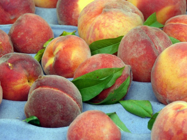 Peach-ginger shrub