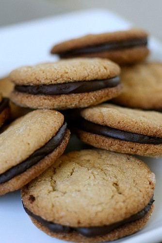 Peanut butter chocolate ganache sandwich cookies