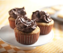 Peanut butter cupcakes with chocolate frosting