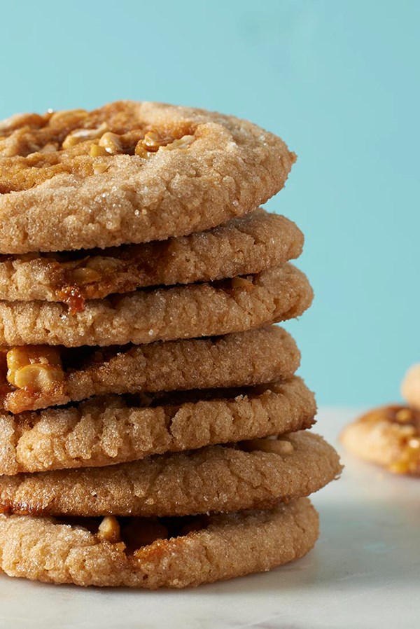 Peanut butter peanut brittle cookies