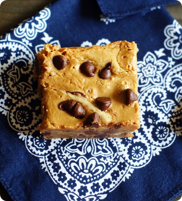 Peanut butter swirl chocolate chip blondies