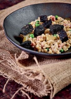 Pearl barley risotto with black pudding croutons
