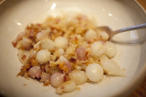 Pearl onions au gratin