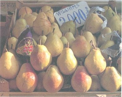 Pears in red wine