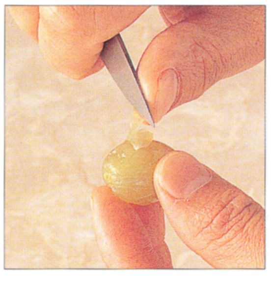 Peeling and pipping grapes