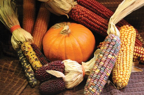 Pennsylvania Dutch roasted corn meal
