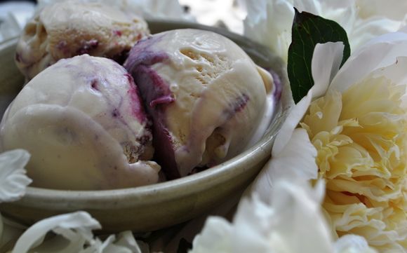 Peony ice cream with a blackberry honey swirl