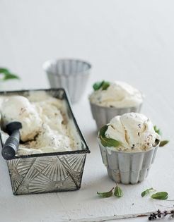 Peppermint chocolate chip ice cream