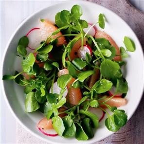 Peppery watercress, citrus and radish salad