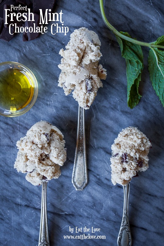 Perfect fresh mint chocolate chip ice cream