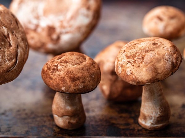 Perfect meringue mushrooms 