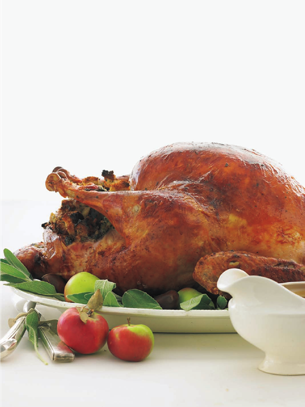 Perfect roast turkey