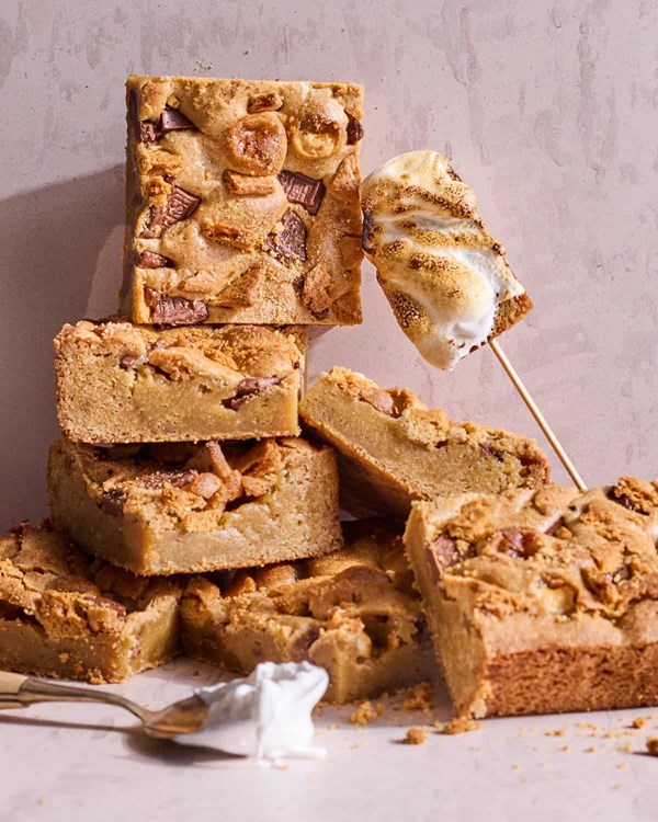 Perfect s'more blondie