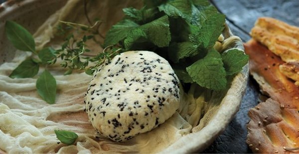 Persian cheese (Panir)