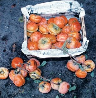 Persian persimmon chutney (quick & easy)