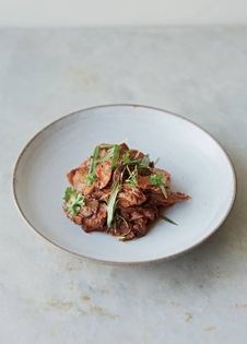 Pheasant ragout (Fasan ragout)