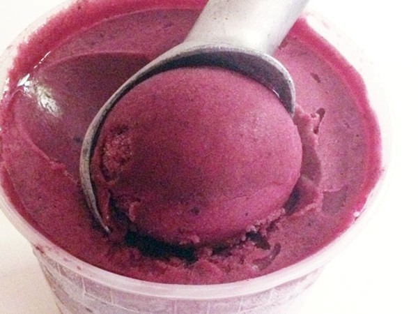 Pickled blueberry sorbet
