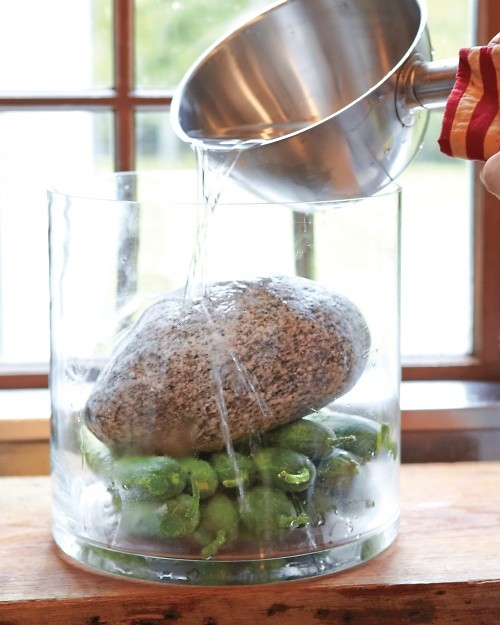 Pickled cucumbers