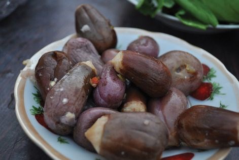 Pickled eggplant (Imkhalal bitinjan)