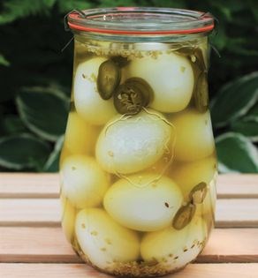 Pickled eggs