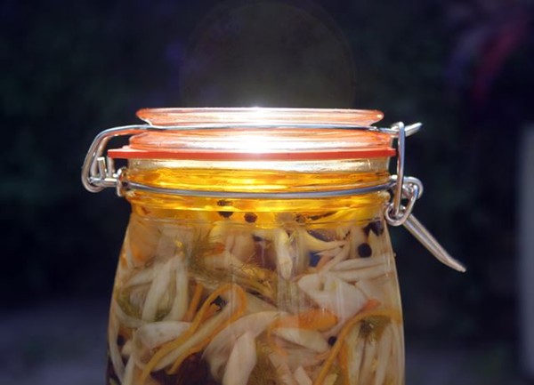 Pickled fennel