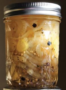 Pickled fennel