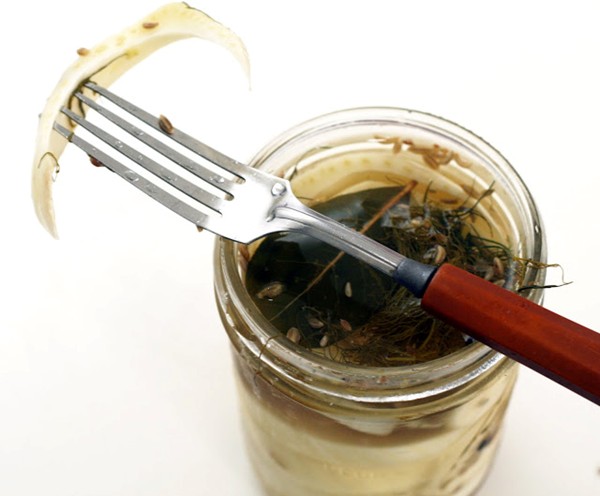 Pickled fennel