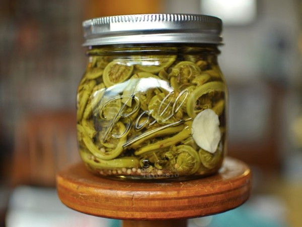 Pickled fiddlehead ferns