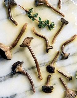 Pickled grayling mushrooms [Charles Luce]