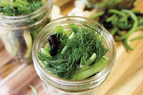 Pickled green beans