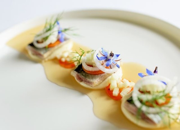 Pickled herring with parsnip cream, white radish and apple dashi