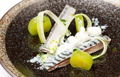 Pickled mackerel with buttermilk snow, cucumber and dill