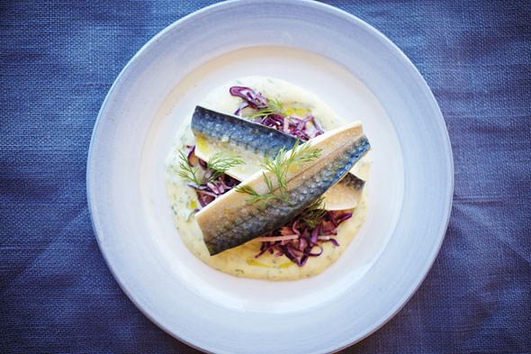 Pickled mackerel with red cabbage, apple and cider
