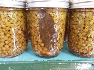 Pickled milkweed bud capers