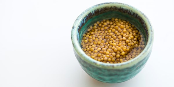 Pickled mustard seeds
