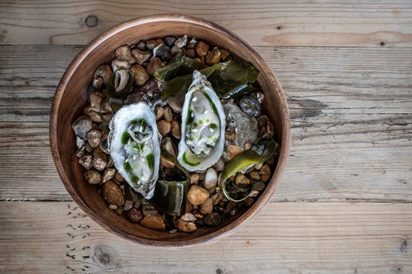 Pickled oysters with wild garlic oil